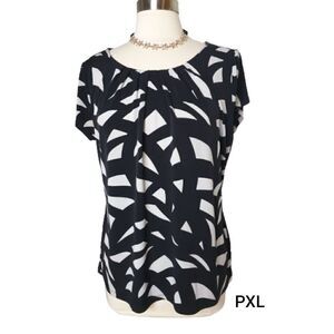 Women's Petite Blouse Dressy Short Sleeve Black and Cream Blouse XLP
